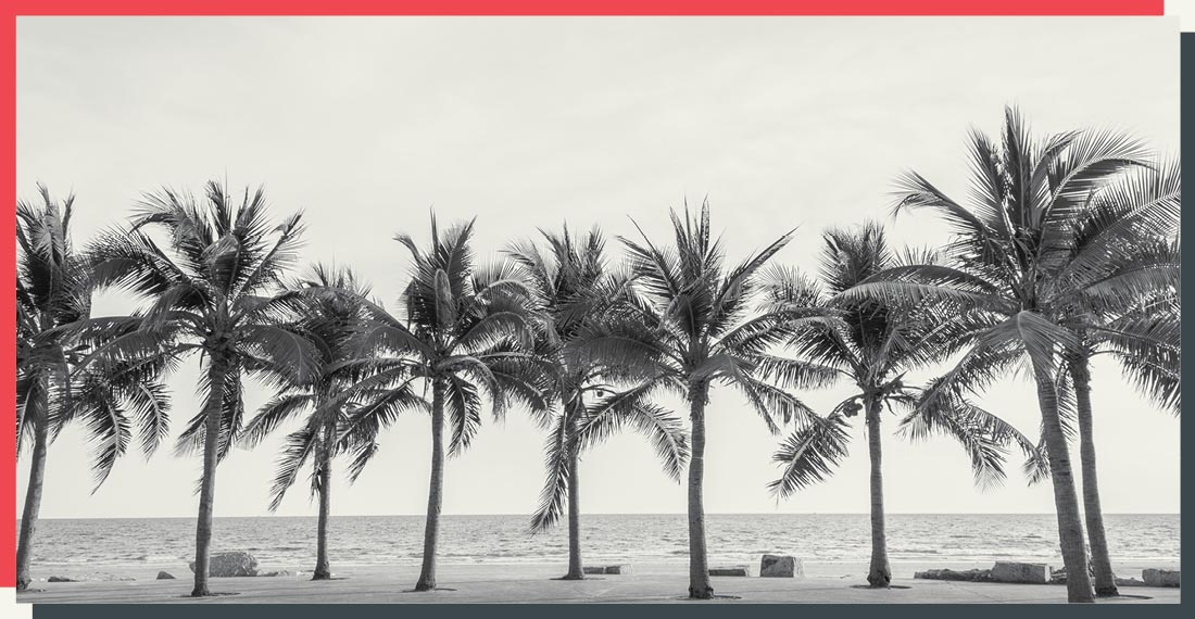 Associate David Coon calls Hurricane Ian a "trial by fire" for Florida's Property Insurance Legislative Reforms