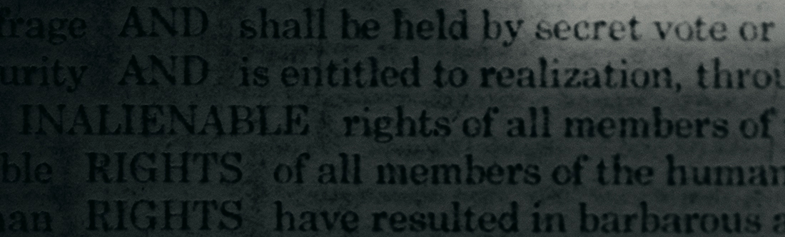 Ann Hamilton, RIGHTS, 2017. Selendy Gay Office Collection